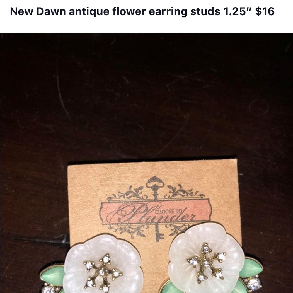 Plunder Earrings new